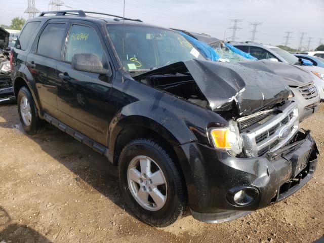 Ford Escape xlt (2010)