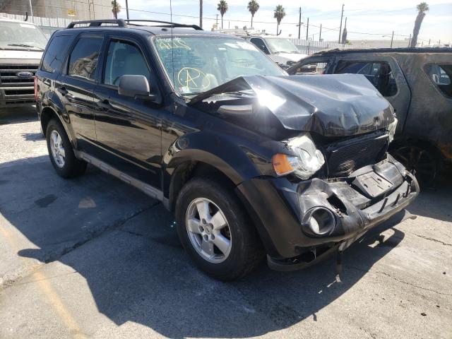 Ford Escape xlt (2010)