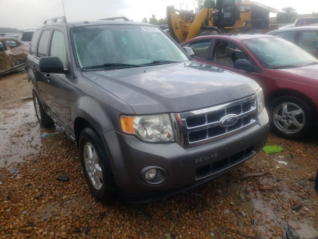 Ford Escape xlt (2010)