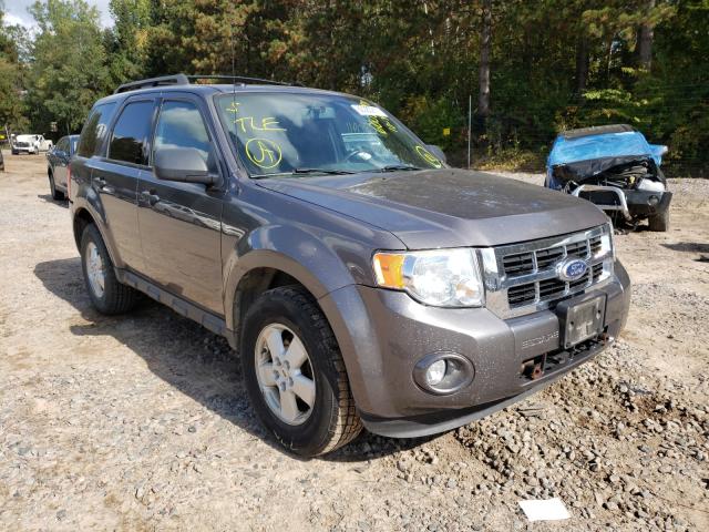 Ford Escape xlt (2010)