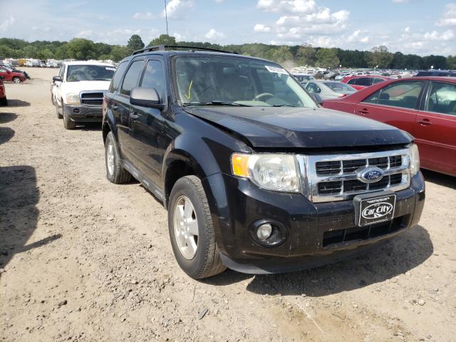 Ford Escape xlt (2011)