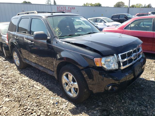 Ford Escape xlt (2011)