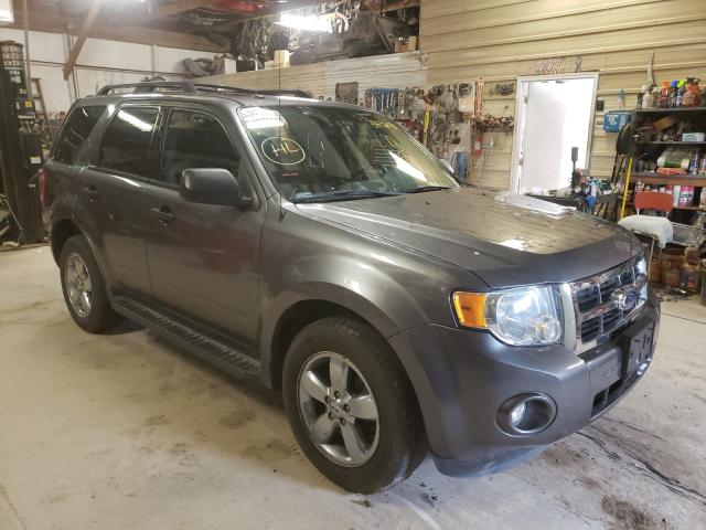 Ford Escape xlt (2011)