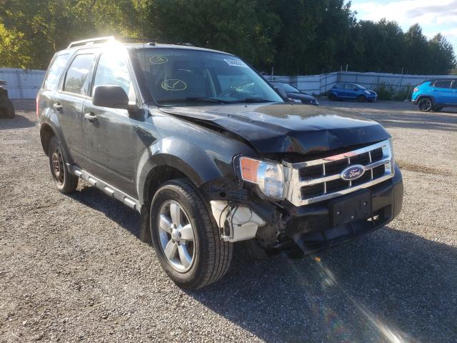 Ford Escape xlt (2011)