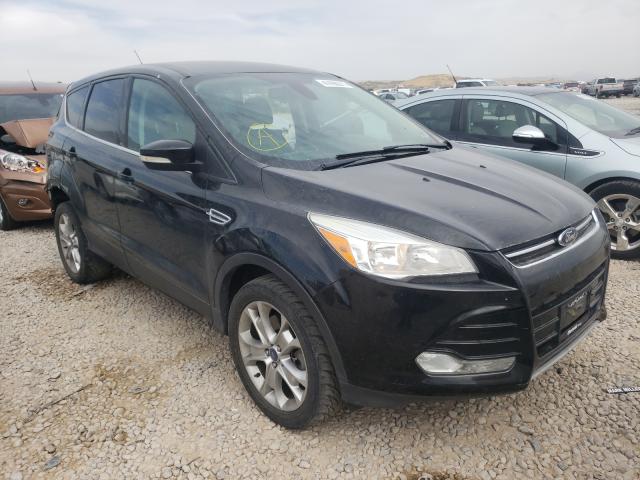 Ford Escape sel (2013)