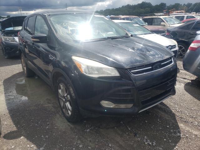 Ford Escape sel (2013)