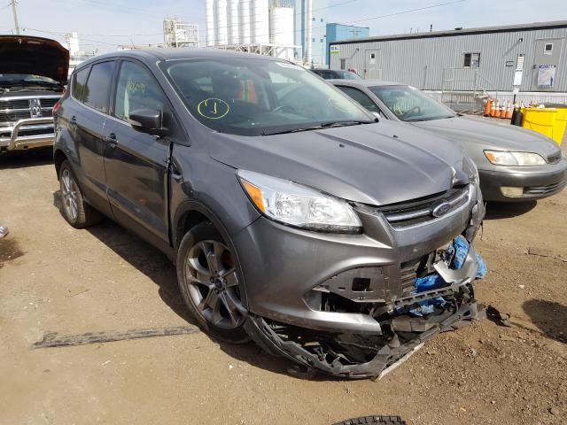 Ford Escape sel (2013)