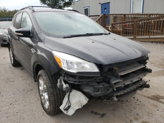 Ford Escape sel (2013)