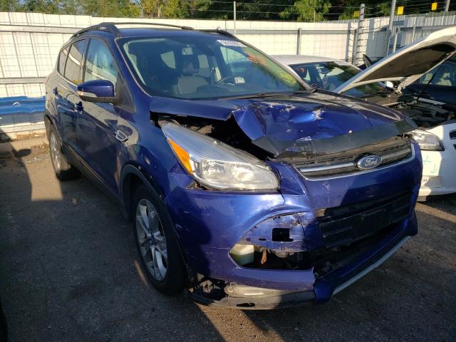 Ford Escape sel (2013)