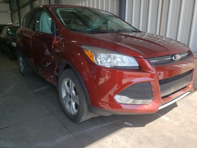 Ford Escape se (2014)