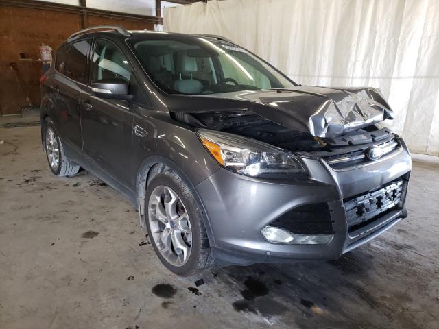 Ford Escape tit (2014)