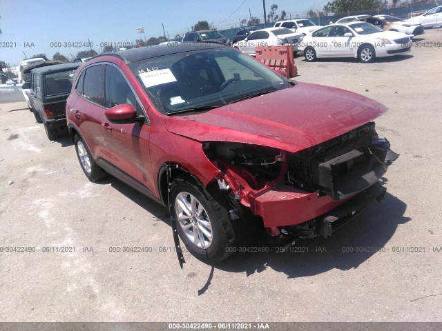 Ford Escape (2020)