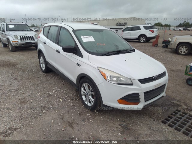 Ford Escape (2014)