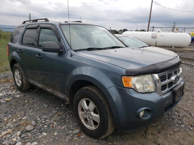 Ford Escape xlt (2010)