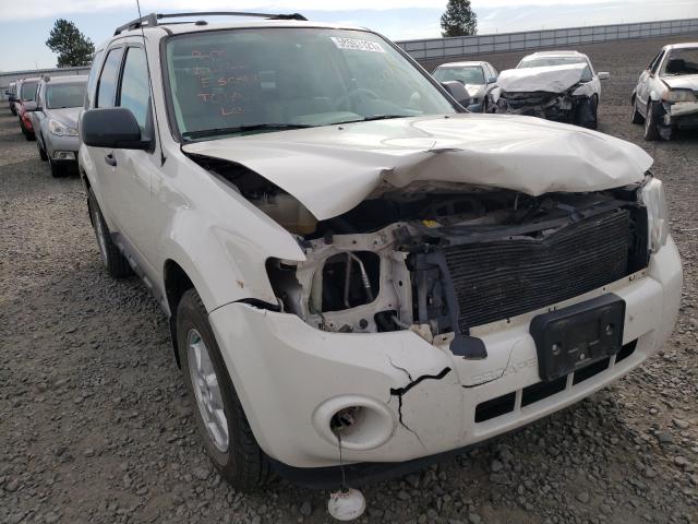 Ford Escape xlt (2010)