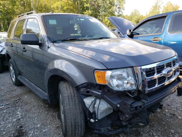 Ford Escape xlt (2010)