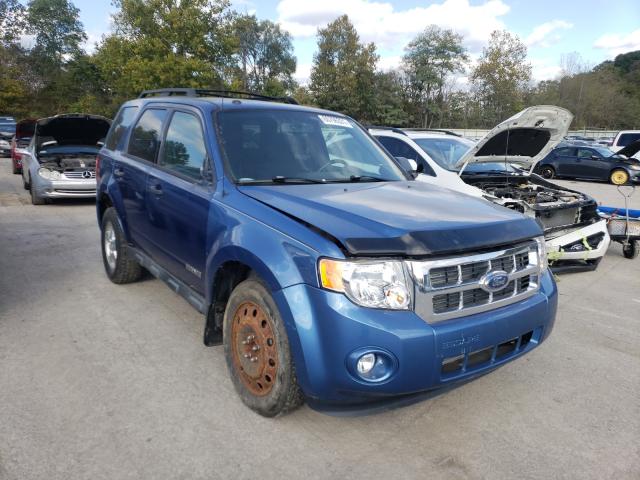 Ford Escape xlt (2010)