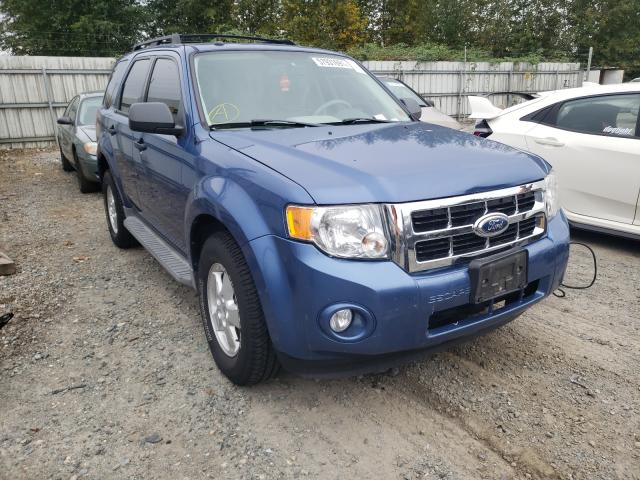 Ford Escape xlt (2010)