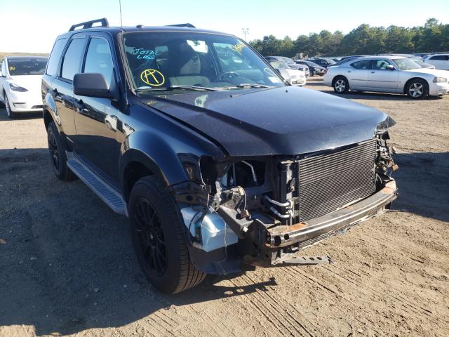 Ford Escape xlt (2010)