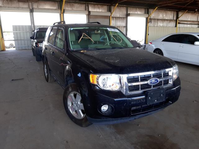 Ford Escape xlt (2011)