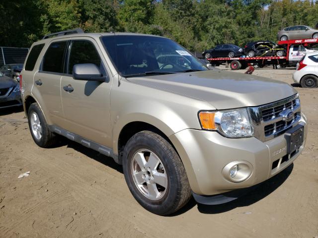 Ford Escape xlt (2011)