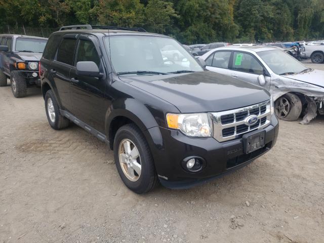 Ford Escape xlt (2011)