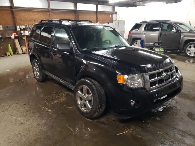 Ford Escape xlt (2011)
