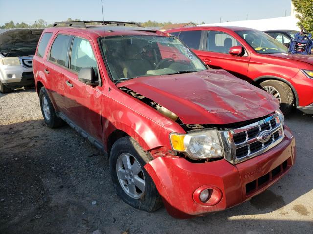 Ford Escape xlt (2011)
