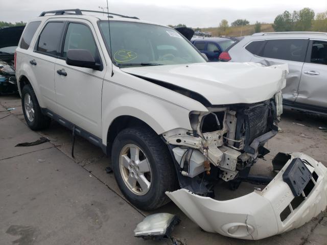Ford Escape xlt (2011)