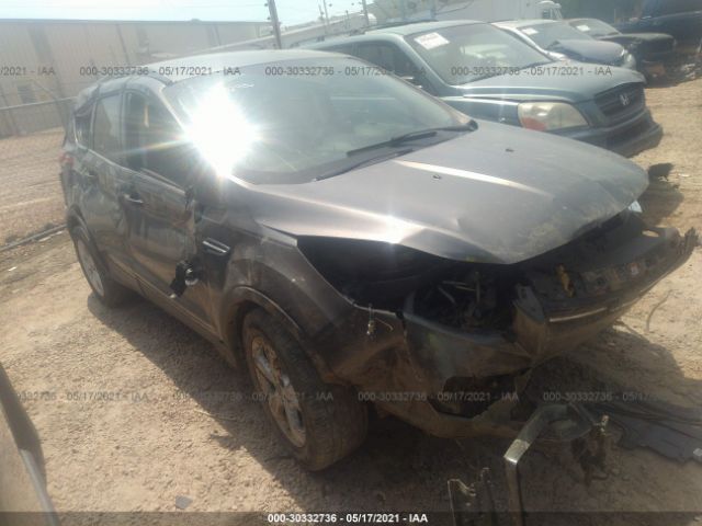 Ford Escape (2014)