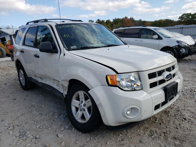 Ford Escape hyb (2010)