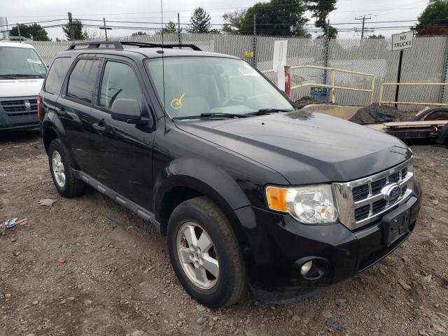 Ford Escape xlt (2010)