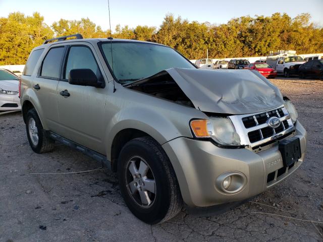 Ford Escape xlt (2010)