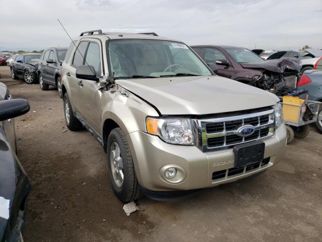 Ford Escape xlt (2010)