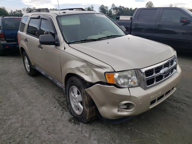 Ford Escape xlt (2010)
