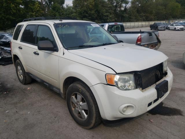 Ford Escape xlt (2010)
