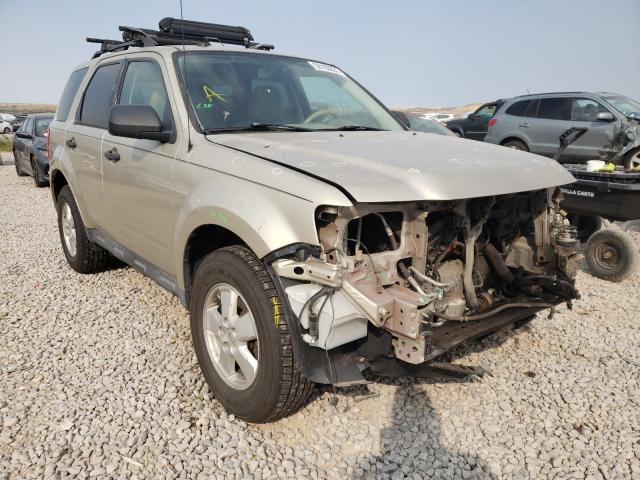 Ford Escape xlt (2010)
