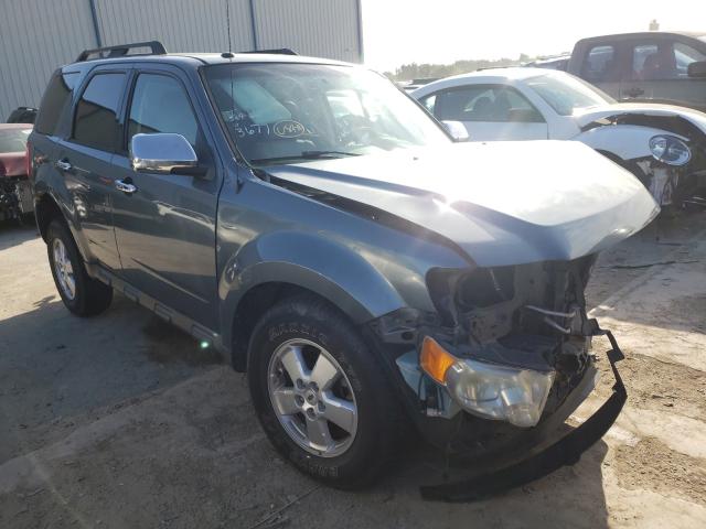 Ford Escape xlt (2010)