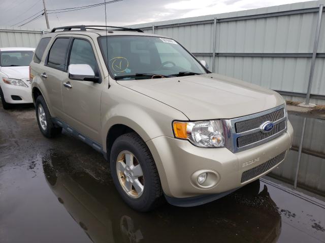 Ford Escape xlt (2011)