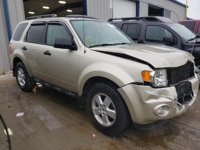 Ford Escape xlt (2011)