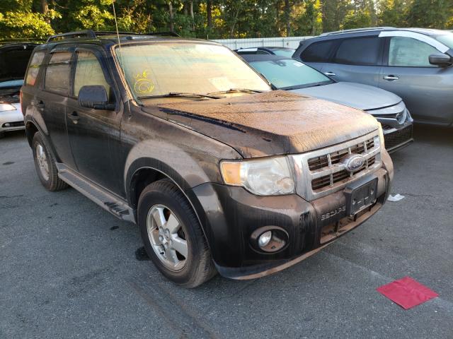 Ford Escape xlt (2011)