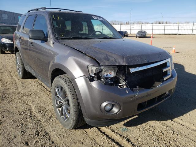 Ford Escape xlt (2011)