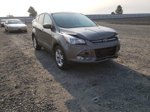 Ford Escape se (2014)