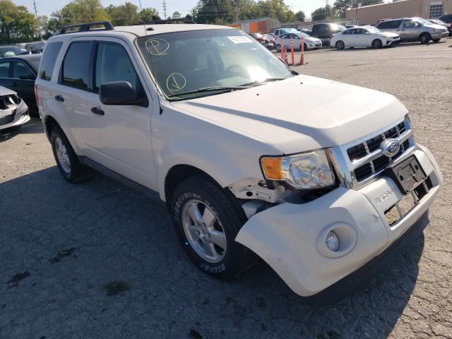 Ford Escape xlt (2011)