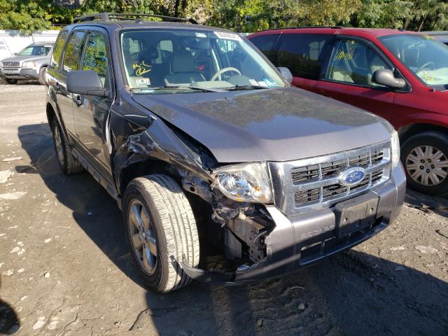 Ford Escape xlt (2010)