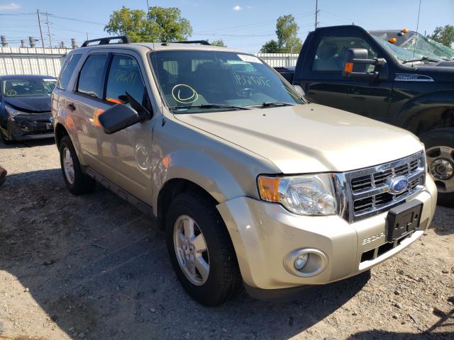 Ford Escape xlt (2011)