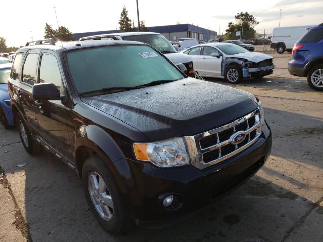 Ford Escape xlt (2010)