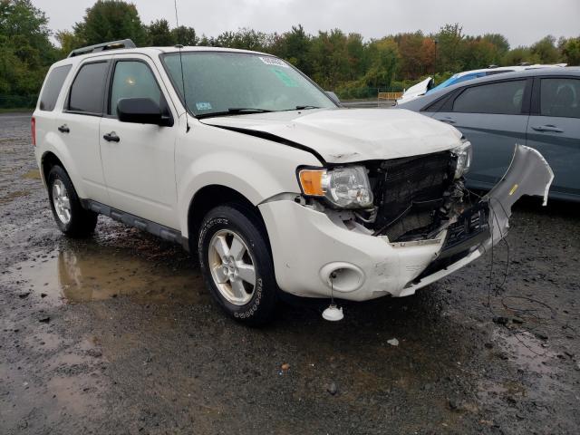 Ford Escape xlt (2011)