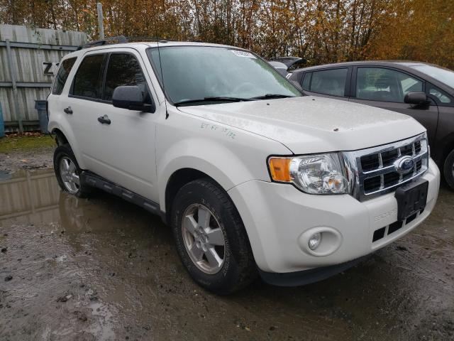 Ford Escape xlt (2011)