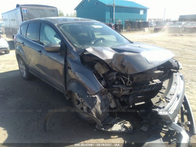 Ford Escape (2013)